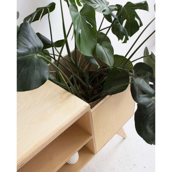 Tủ tivi gỗ có chậu cây