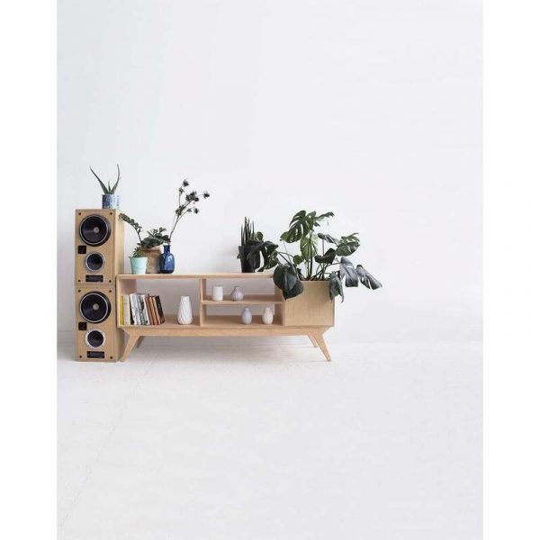 Tủ tivi gỗ kiểu mới